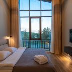 панорамные окна, природные материалы