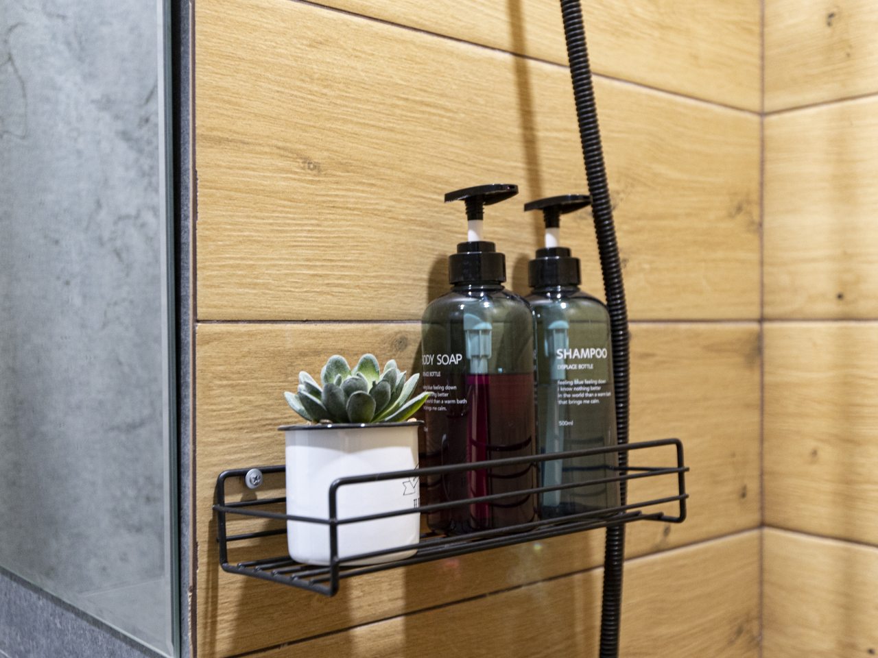 Студио (Гостевая студия Мята), Апартаменты Dream apartments