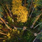 Веревочный парк, Загородный отель Охта Парк