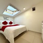 Апартаменты (Апартаменты №8 "Полулюкс" на мансардном этаже), Апартаменты Саквояж