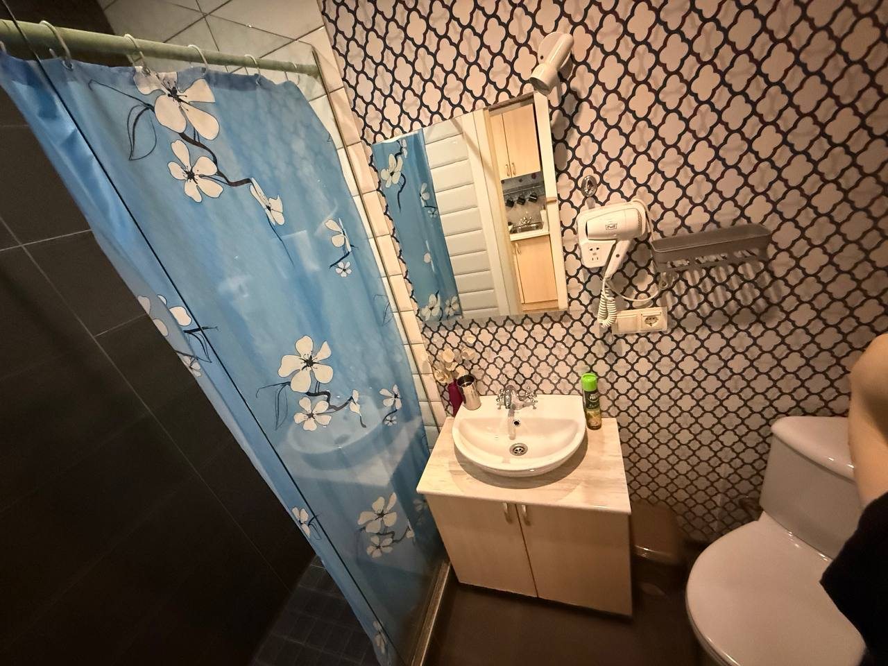 свой санузел в номере