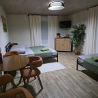 Трехместный (Четырех местный номер с удобствами в номере (2 этаж)), Гостевой дом Удачный