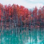 123, Барнхаус Lightning MCQUEEN (ТЕСТОВЫЙ ОТЕЛЬ)