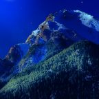 Апартаменты (Двухкомнатный комфорт с общей террасой и видом на горы | 2 этаж), Гостевой дом Hayat Haus