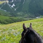 Конный прокат, Гостевой дом Hayat Haus