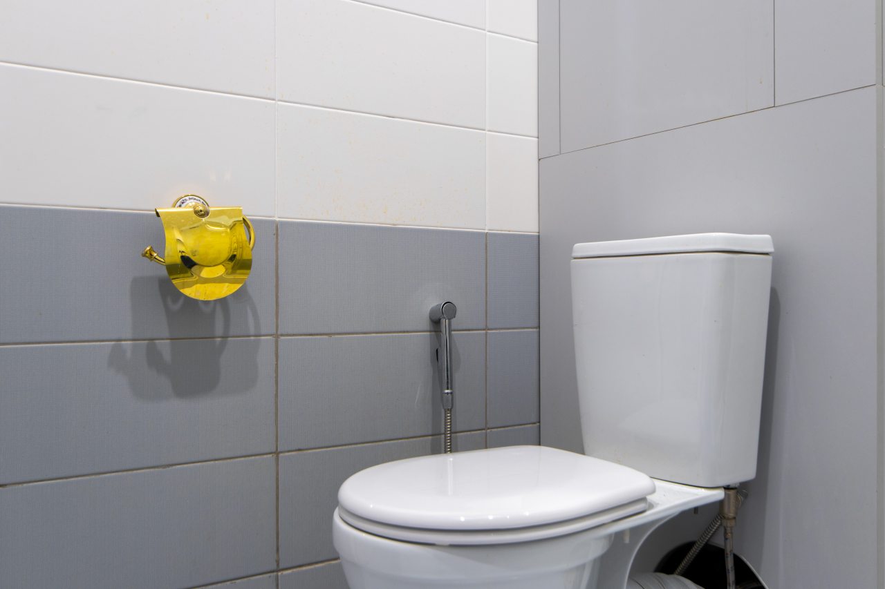 Апартаменты (Апартаменты Sojo), Апартаменты Apartmens Pulkovo Star