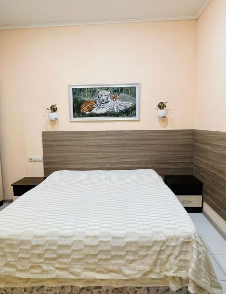 Фотография номера гостевого дома Элени