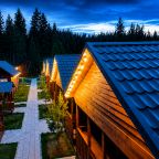 Трехместный (Номер с панорамными окнами), Отель Altay Bereg