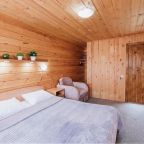 Дом (Двухместный с панорамными окнами), Отель Altay Bereg