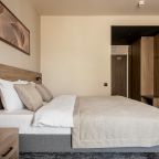 Двухместный (Стандарт), Отель GREENGATE HOTEL&SPA