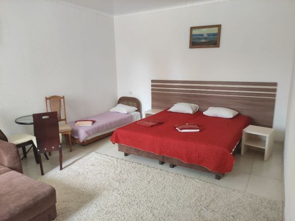 Фотография номера гостиницы Отель Е.В.А