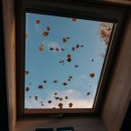 Дом (Секция "Muur'oi" (Морошка)), Эко-отель Harland Village