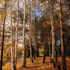 Своя ухоженная территория, Эко-отель Harland Village