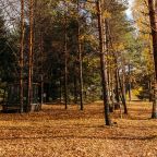 Своя ухоженная территория, Эко-отель Harland Village