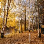 Своя ухоженная территория, Эко-отель Harland Village