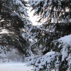 Своя ухоженная территория, Эко-отель Harland Village