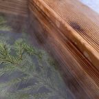 Своя ухоженная территория, Эко-отель Harland Village