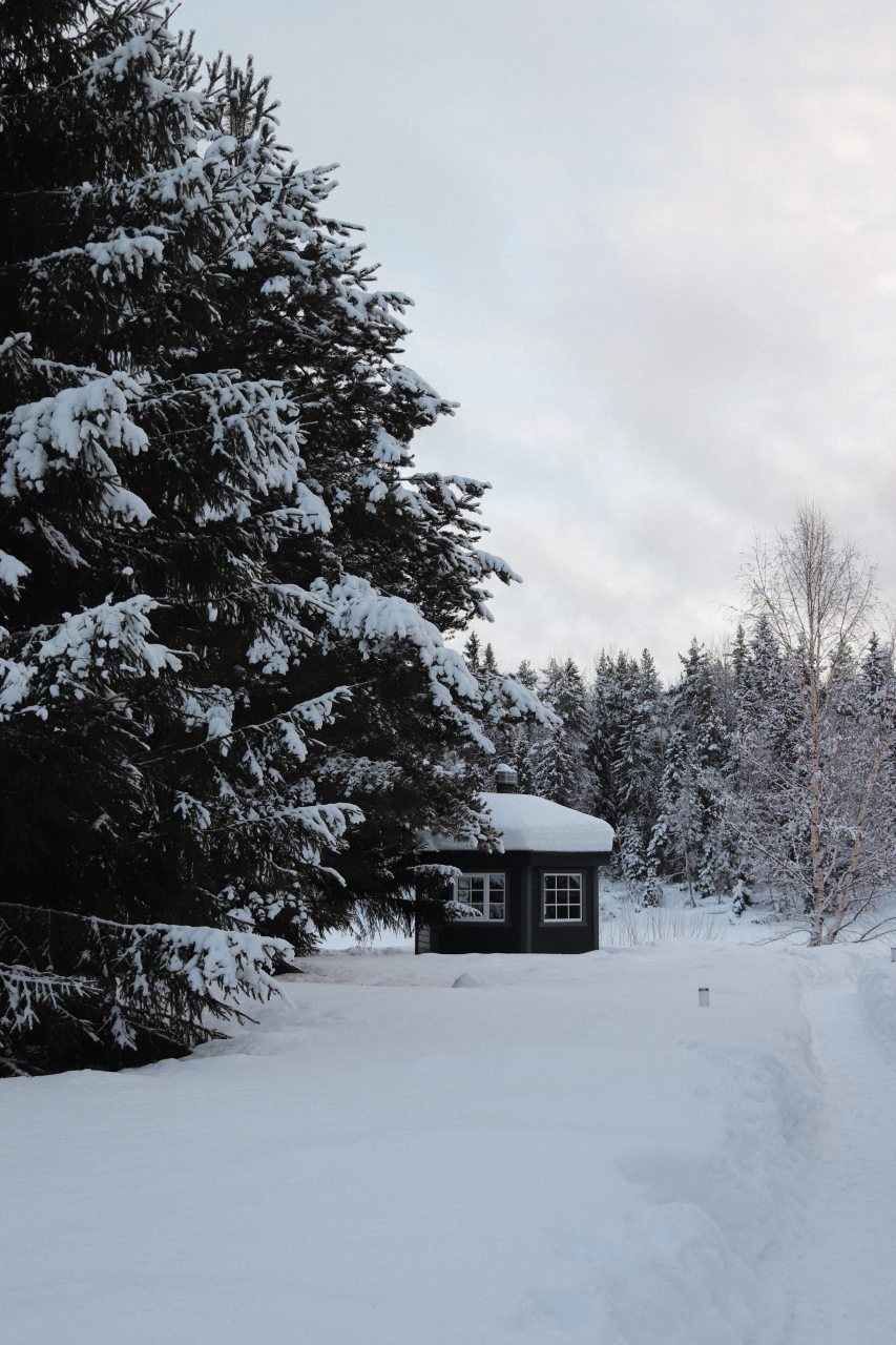 Своя ухоженная территория, Эко-отель Harland Village