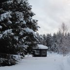 Своя ухоженная территория, Эко-отель Harland Village