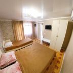 Апартаменты (Квартира Кухней 2), Гостевой дом Фета