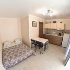 Апартаменты (Квартира кухней), Гостевой дом Фета
