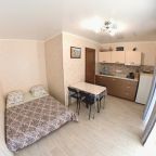 Апартаменты (Квартира кухней), Гостевой дом Фета