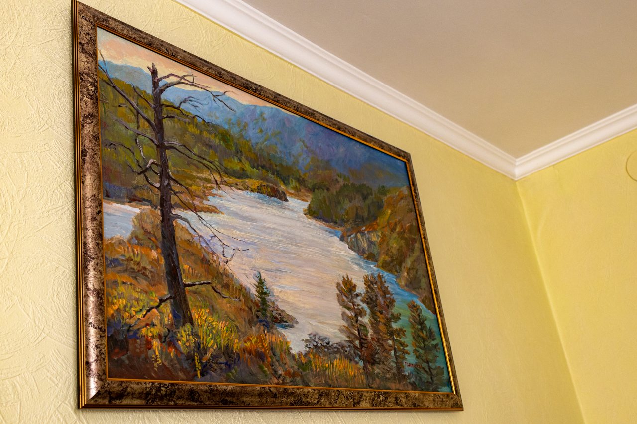 Люкс (Одноместный), АэроОтель