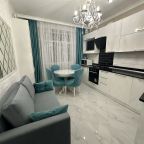 Апартаменты (Чкалова 37, кв. 16), Квартира на улицы Чкалова 37
