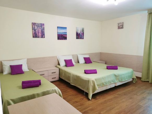 Фотография номера гостевого дома Розовая Пантера