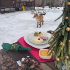 Зимний завтрак в «Куршале»