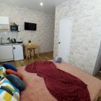 Двухместный (Студия № 2 с двуспальной кроватью, мини кухней и санузлом с душем), Апартаменты/квартиры KazanMallHouse