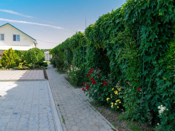 Фотография номера гостевого дома Гелиос