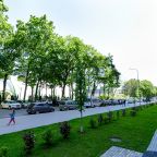 Вид на сад, Шикарные апартаменты у парка Галицкого 3