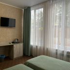 Трёхместный и более (Стандарт без балкона с двумя односпальными кроватями), Гостевой дом Регион 102