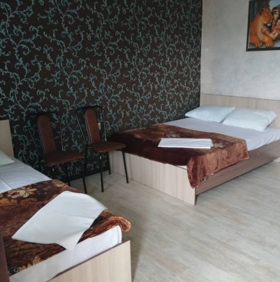 Фотография номера гостиницы Александрия 56