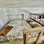 Апартаменты (Студия с террасой), Апартаменты ЖК Дельфин