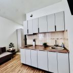 Трёхместный и более (Студия с балконом 52), Апартаменты ЖК Дельфин