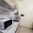 Студио (Студия 24), Апартаменты ЖК Дельфин