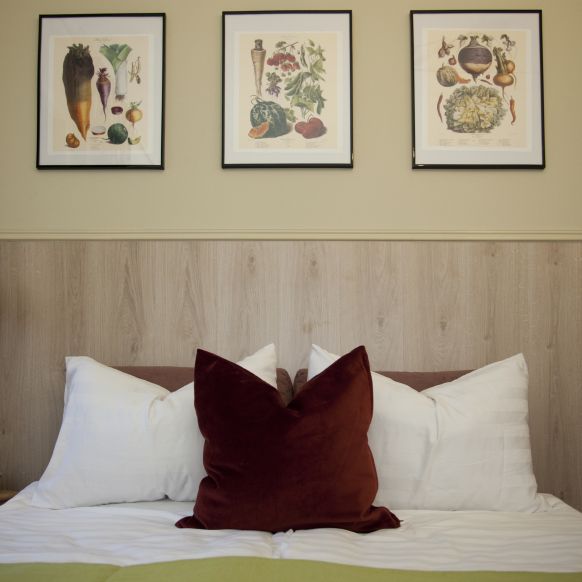 Фотография номера квартиры Апартаменты Botanica Art Aparts