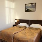 Двухместный (Стандартный двухместный номер с 1 кроватью или 2 отдельными кроватями), Отель Петровский