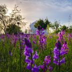 Вид на сад, Глэмпинг The Garden