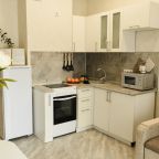 Апартаменты (Улучшенные на ул. Красных Мадьяр, 14/2), Апарт-отель Siberian apartment