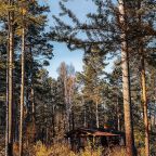 Объект находится в лесу, Эко-отель Сосны Байкала