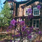 Своя ухоженная территория, Эко-отель Сосны Байкала