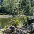 Ухоженная территория с прудом, База отдыха Прохладная