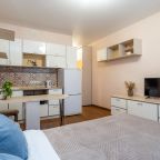 Квартира (Студия с кондиционером, ул.Бурнаковская, д.93 кв.78), Апартаменты Стрелка-гостевые квартиры