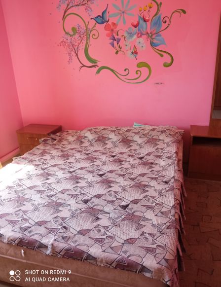 Фотография номера базы отдыха Сказка