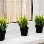 вид, Прекрасные апартаменты с видом на парк Галицкого