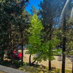 Студио (Deluxe Apartment ЖК Царицыно кв17), Апартаменты Deluxe Apartment ЖК Царицыно