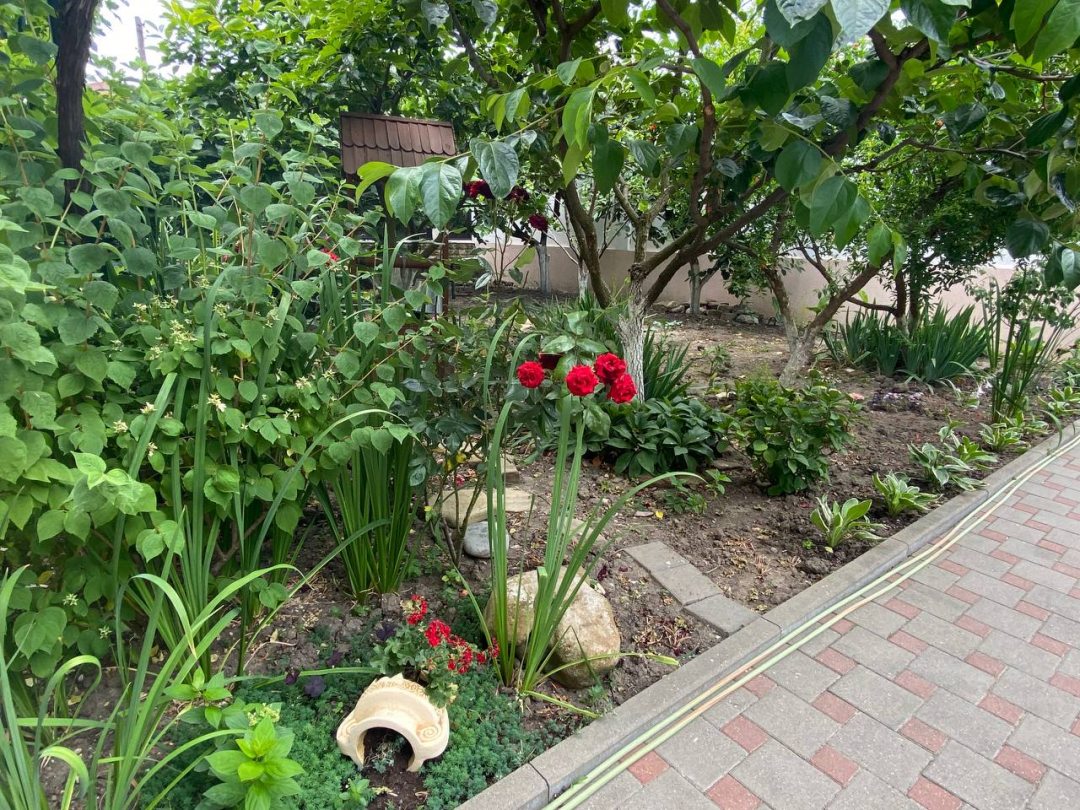 Сад, Гостевой дом Вилла Терраса